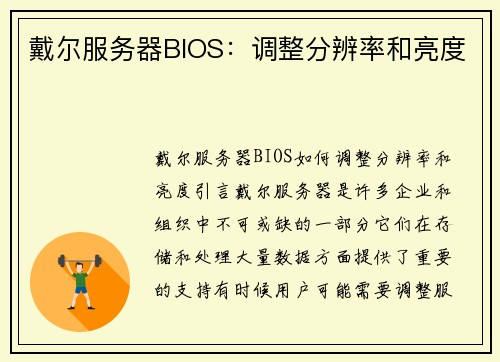戴尔服务器BIOS：调整分辨率和亮度